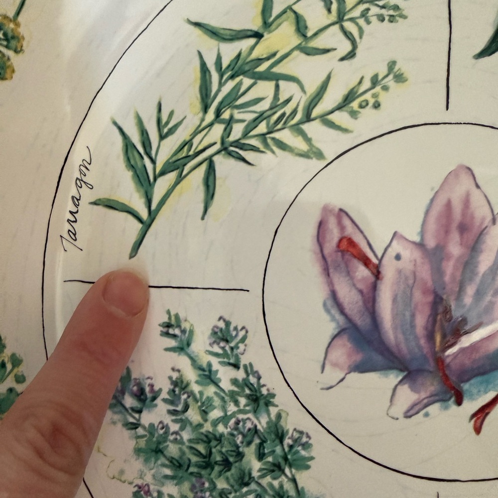 Williams-Sonoma 13” White Ceramic serving bowl with painted culinary herbs GUC - Picture 11 of 13